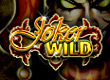 Joker Wild